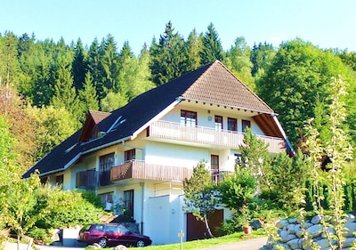 Beautiful apartment with terrace, garage, wifi in Hinterzarten for 2 person