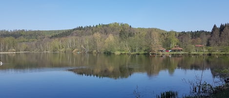 Sommer am Schöntalweiher-200 Meter von der Wohnung entfernt