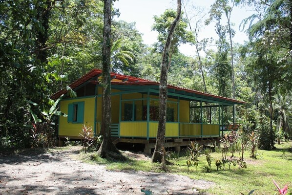 In the middle of tropical flora and fauna. A paradise for nature lovers