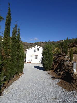 Finca Bambino Auffahrt