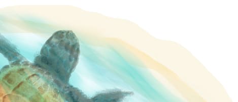 Divers
