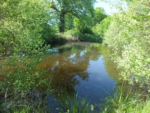 Boendeområde