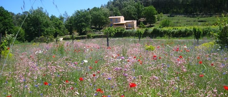 Jardines del alojamiento