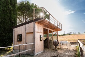 Jardines del alojamiento