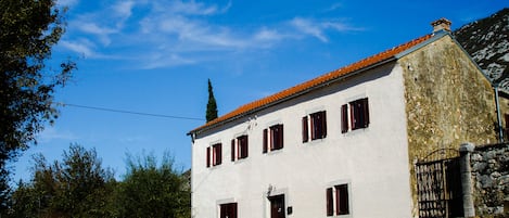 Exteriör