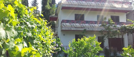 Front of the villa surrounded by garden and trees