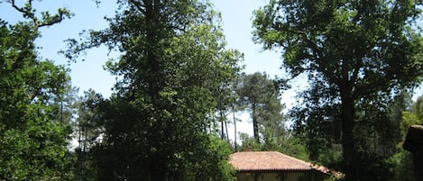 Vue sur la bergerie dans son airial