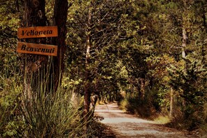 Parco della struttura