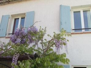 Detalj exteriör