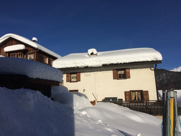 Exteriör