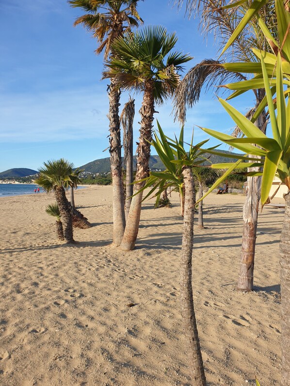 Plage
