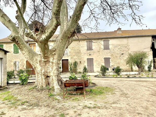 Exterior