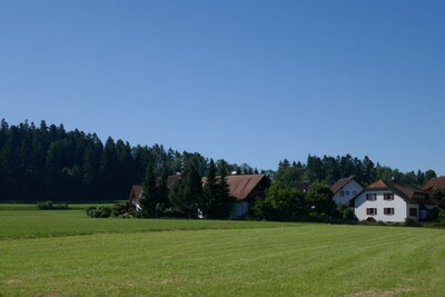 Here you have peace and can relax! Bad Dürrheim, outskirts of town, near lake