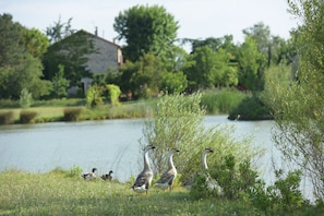 Property grounds