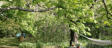 Jardines del alojamiento