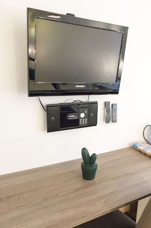 Television