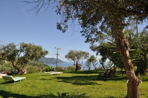 Large garden, shady trees, hammock