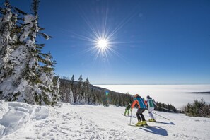 Snow and ski sports