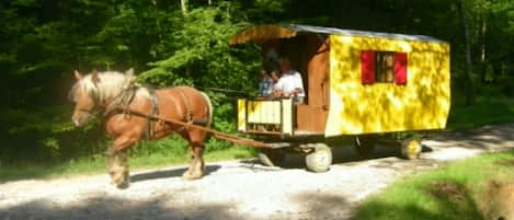 VACANCES EN ROULOTTE "Découvrez le val d'amour" au rythme du cheval comtois 
