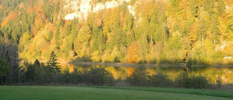 Overnatningsstedets område