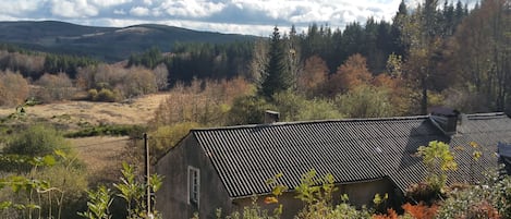 montagne du haut Languedoc