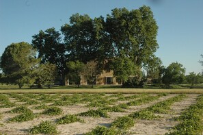 Boendeområde