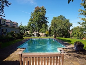 The garden and the pool