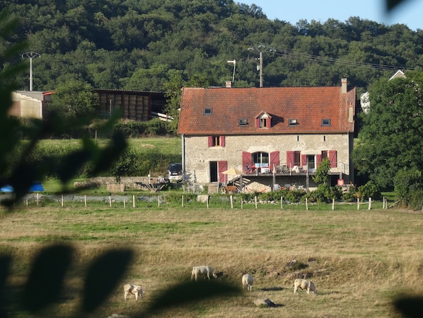 Extérieur