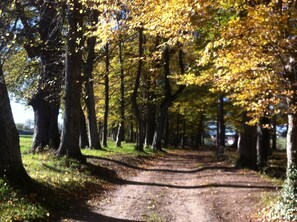 Boendeområde