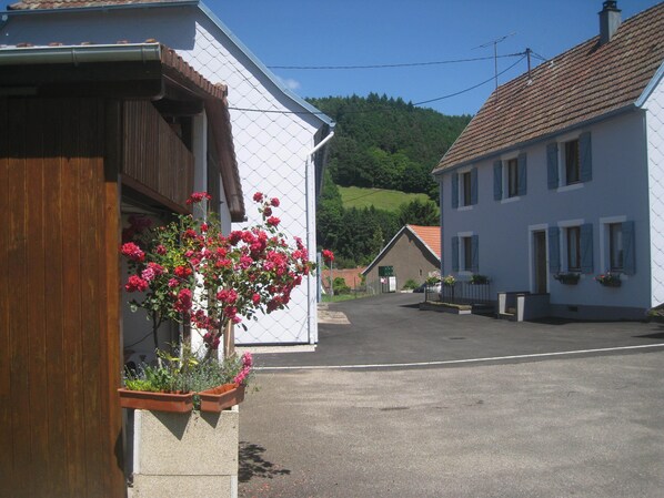 Exteriör