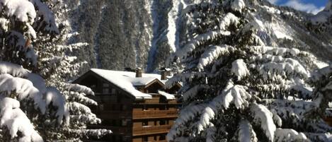 appartement dans les sapins sur les pistes