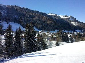 Wintersport/Ski