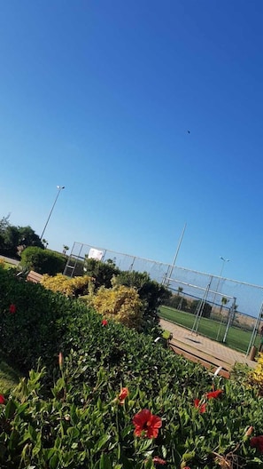Sport court