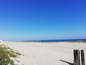 Playa