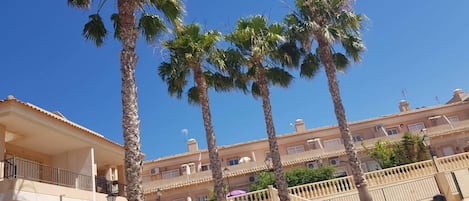 Alberca