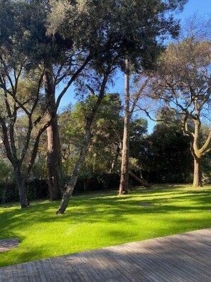 Property grounds