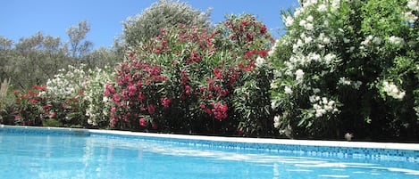 Piscine bien chaude