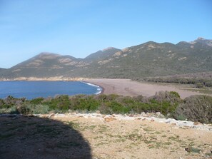 Strand