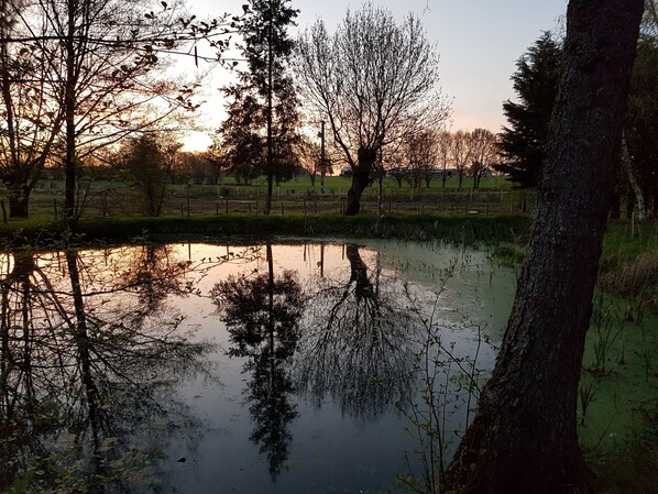 Lake