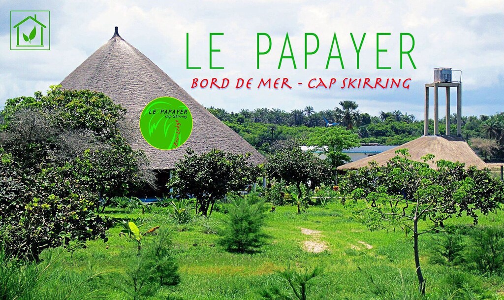 Casamance Travel Senegal Africa Lonely Planet