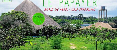 Ecolodge Le Papayer. Bord de mer à Cap Skirring en Casamance Sénégal.