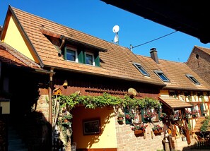 Exteriör