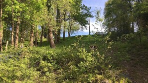 Jardin clos et arboré
