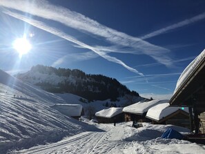 Sneeuw- en skisporten