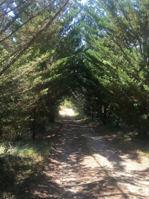 Jardines del alojamiento