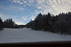 Wintersport/Ski