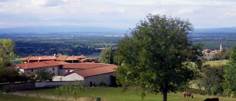 Jardines del alojamiento