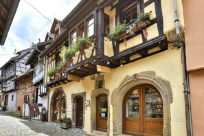 Votre logement se situe dans la magnifique ruelle pavée en plein cœur du village pittoresque d'Eguisheim
