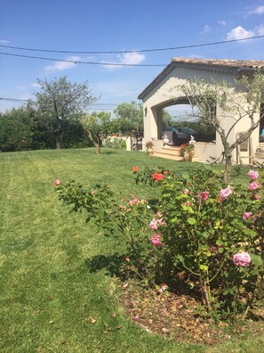 The garden between the house and the swimming pool