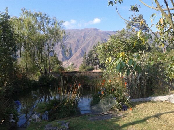 Jardines del alojamiento